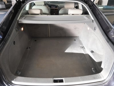 Audi A5 Sportback 20 TDI 170 DPF Ambition Luxe Quattro - 18