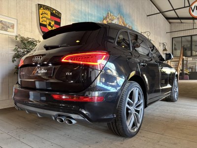 Audi SQ5 30 BITDI 313 CV QUATTRO TIPTRONIC   - 18