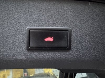 Audi Q7 30L V6 TDI 245cv S-LINE   - 24