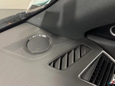 Audi SQ5 30 TDI 315 QUATTRO BVA   - 15