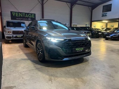 Audi Q8 60 TFSI e 490 Tiptronic 8 quattro Competition   - 37