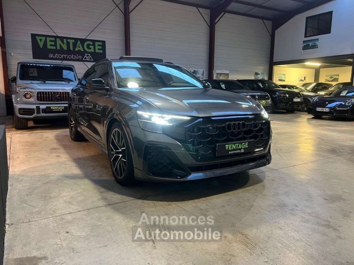 Audi Q8 60 TFSI e 490 Tiptronic 8 quattro Competition - 37