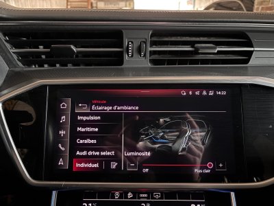 Audi A6 Allroad 55 TDI 344 CV AVUS QUATTRO TIPTRONIC   - 10