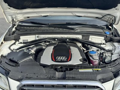 Audi SQ5 Quattro 30 V6 BiTDI - 313 - BVA Tiptronic S PHASE 2   - 28