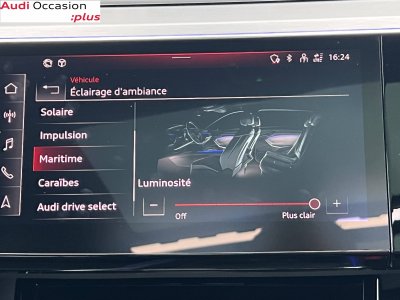 Audi Q8 E-TRON e-tron 55 408 ch 114 kWh Quattro S line   - 16