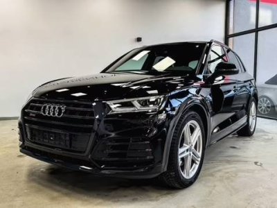 Audi SQ5 | MATRIX-LED | NAVI - 1