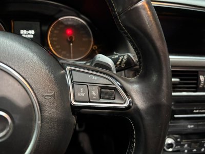 Audi SQ5 30 TDI V6 QUATTRO S   - 19