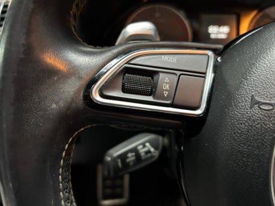 Audi SQ5 30 TDI V6 QUATTRO S   - 21