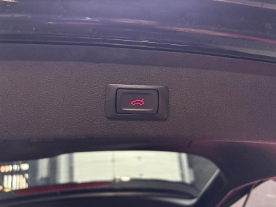 Audi SQ5 30 TDI V6 QUATTRO S   - 38