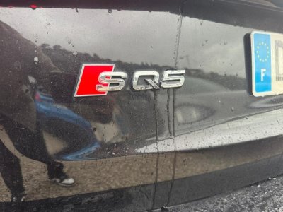 Audi Q5 S Quattro 30 V6 BiTDI DPF - 313 - BVA Tiptronic S PHASE 2 - 16