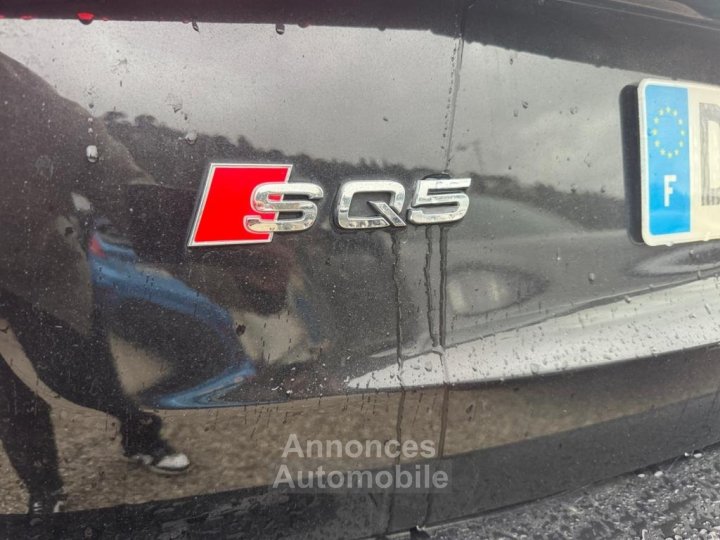 Audi Q5 S Quattro 30 V6 BiTDI DPF - 313 - BVA Tiptronic S PHASE 2 - 16