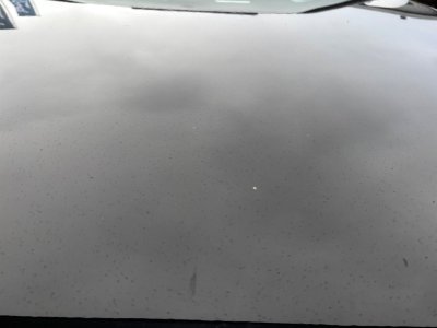 Audi SQ5 V6 30l BiTDI 313cv Quattro Tiptronic 8 - Toit Ouvrant / Hayon &Eacute;lectrique / Si&egrave;ges Chauffants / Cam&eacute;ra De Recul -   - 53