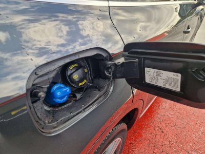 Audi Q5 Quattro 20 40 TDI - 190 - BV S-tronic Avus PHASE 1   - 13