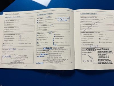 Audi TTS 272ch quattro s tronic full entretien   - 10