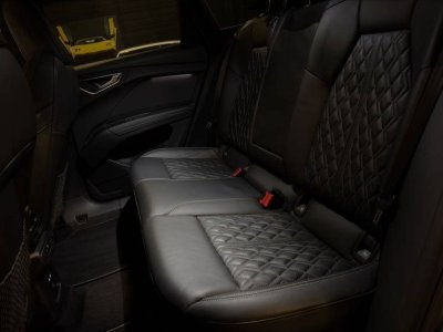 Audi Q4 E-Tron 40 204ch S line   - 19