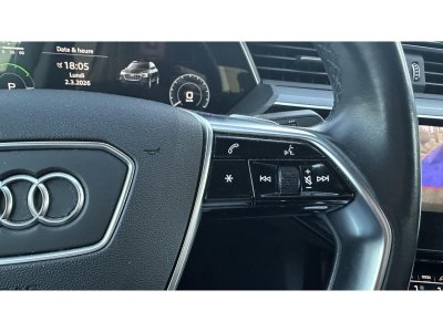 Audi e-tron Sportback e-Quattro 50 - 313 SPORTBACK Avus Extended   - 13