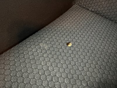 Audi A1 Sportback 12 TFSI 86 Ambiente ~ 5 Portes ~ Suivi - Radio / Bluetooth ~ R&eacute;gulateur   - 28