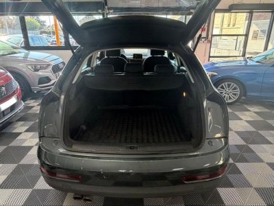 Audi Q3 Ambition Luxe   - 5