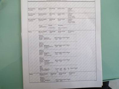 Audi A3 Sportback 16 TDI 116 S tronic 7 Business line   - 22