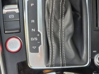 Audi SQ5 30 V6 BITDI 313CH QUATTRO TIPTRONIC   - 25