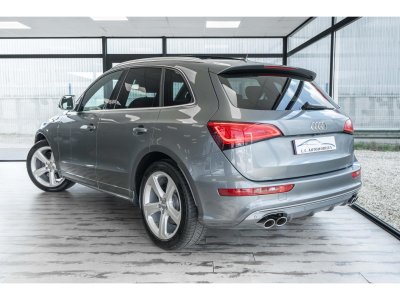 Audi SQ5 Quattro 30 V6 BiTDI 313 Tiptronic S   - 2