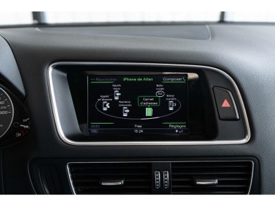 Audi SQ5 Quattro 30 V6 BiTDI 313 Tiptronic S   - 20