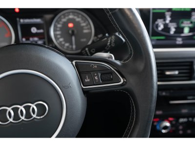 Audi SQ5 Quattro 30 V6 BiTDI 313 Tiptronic S   - 22