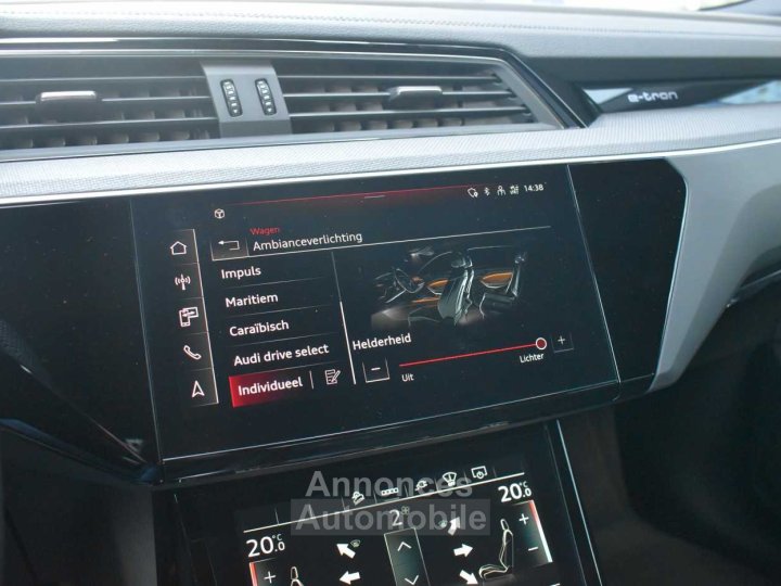 Audi Q8 e-tron Sportback 55 Quattro S line Pano HUD ACC Matrix 360&deg; - 14