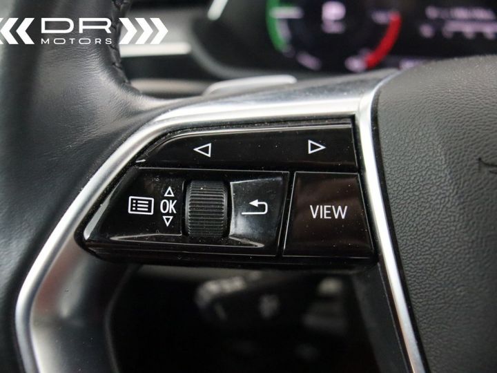 Audi e-tron 55 QUATTRO - LEDER LED NAVI TREKHAAK ALU 20&quot; - 31